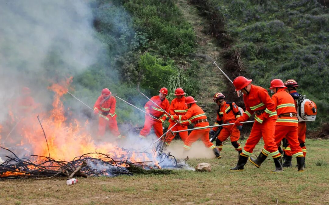 1761612740210264.jpg 640.jpg